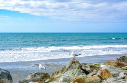 「知行國際」揭秘：澳洲移民入籍那些事兒，失敗都是有原因的