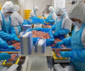 【特定食品】- 京都金槍魚(yú)加工